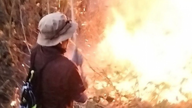 Lereng Gunung Penangungan Mojokerto Terbakar