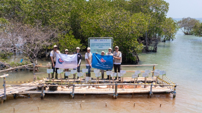 HCML dalam aksi tanam mangrove.