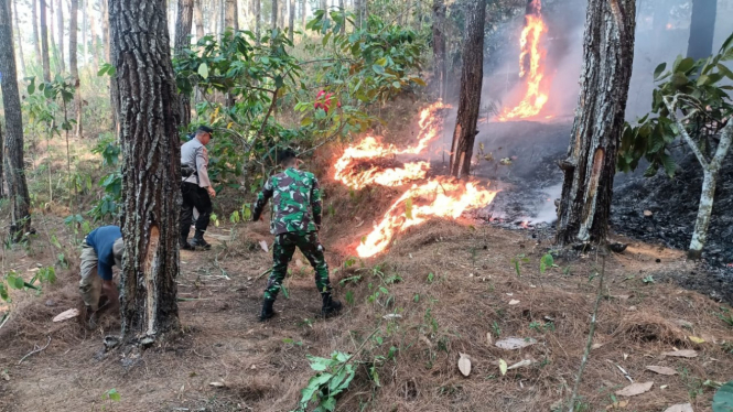 Kebakaran hutan di Trenggalek