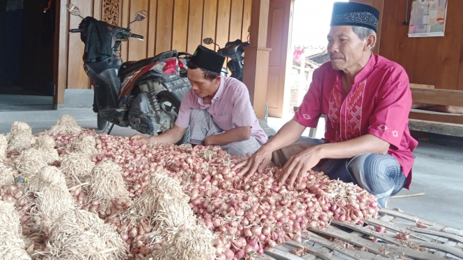 Petani di Ngluyu, Nganjuk sedang menyiapkan tanam bawang merah