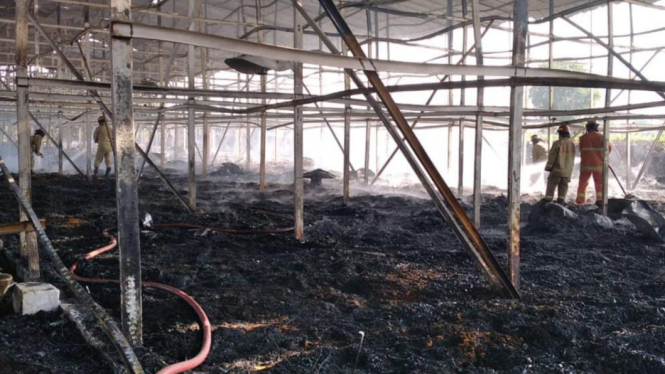 Kandang ayam yang hangus terbakar di Bojonegoro.