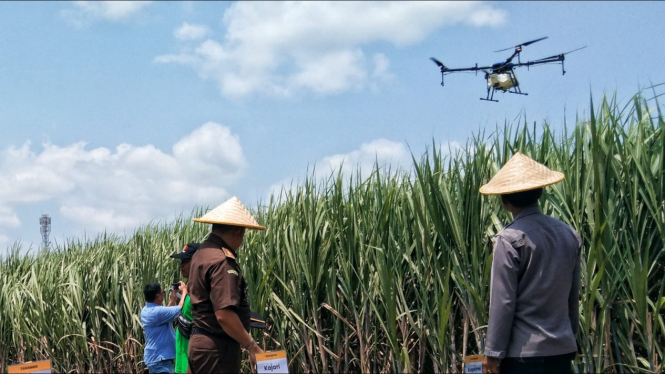 Petani gunakan drone berisi pupuk untuk menyiram tanaman