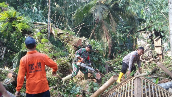 Petugas mengevakuasi pohon tumbang yang mengenai rumah di Trenggalek.