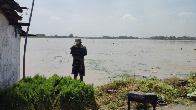Banjir Sebabkan Lahan Pertanian Warga Mojokerto Rusak