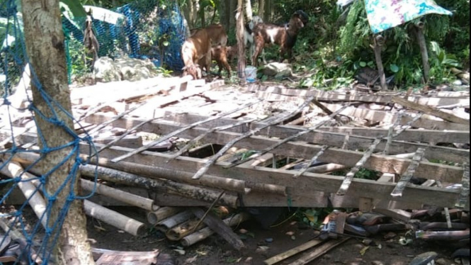 Balai Desa hingga rumah warga Tuban roboh akibat gempa