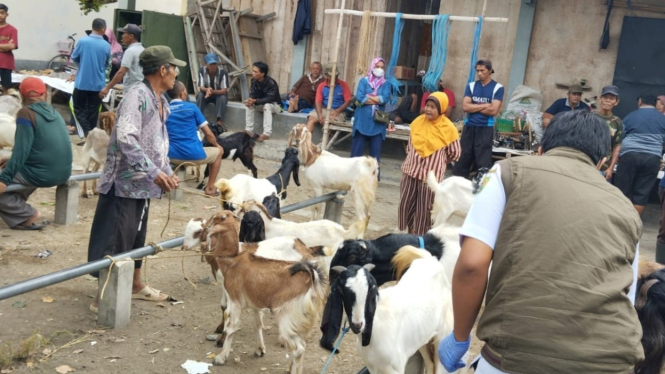 Suasana pasar hewan di Kabupaten Trenggalek.