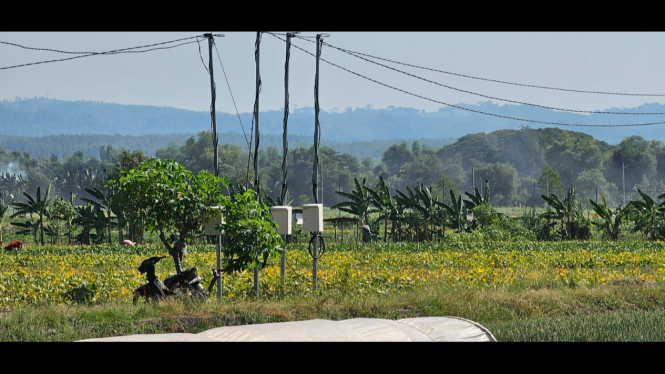 Program Electrifying Agriculture