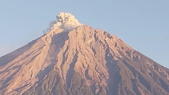 Gunung Semeru saat erupsi dengan letusan setinggi 600 meter