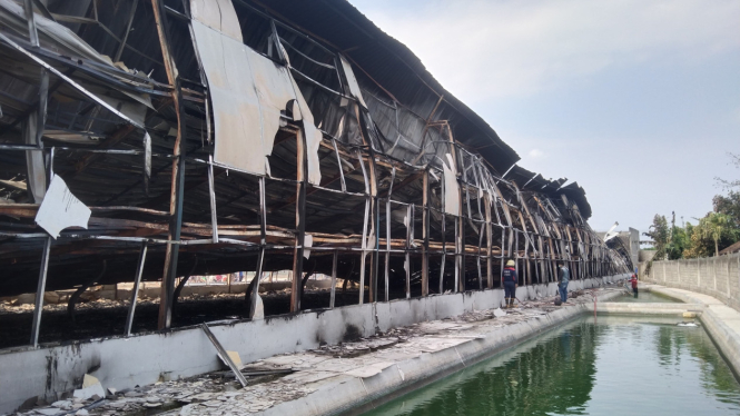 Suasana kandang ayam broiler hangus di Tulungagung.