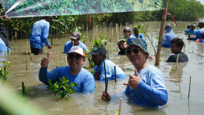 Penanaman ribuan mangrove di pesisir pantai Gresik