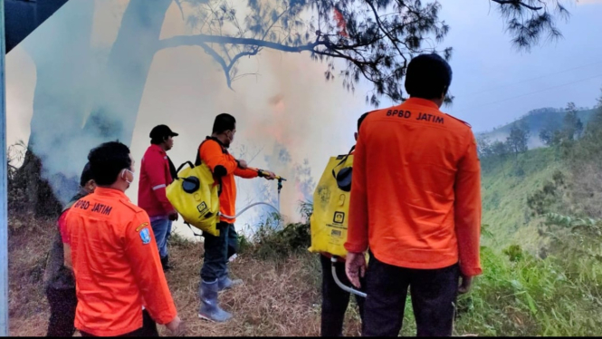Tim gabungan padamkan api di kawasan Gunung Bromo.