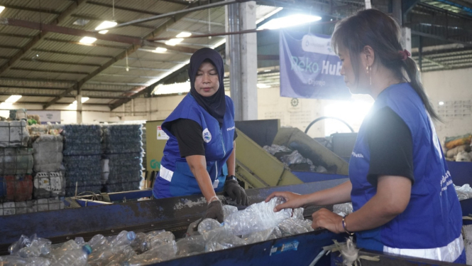 Pekerja mengolah sampah botol plastik PET grade A.