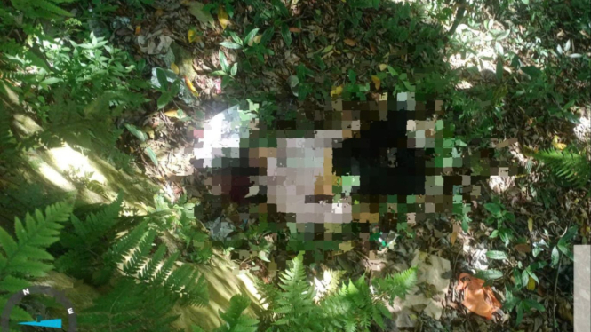 Lokasi penemuan mayat perempuan di hutan Pacet Mojokerto