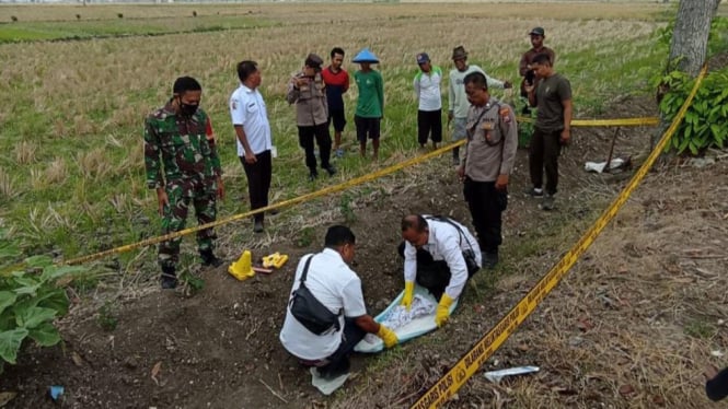 Jasad bayi laki-laki ditemukan di area persawahan