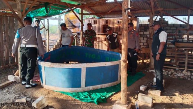 Petugas gabungan grebek arena judi sabung ayam di Panceng.