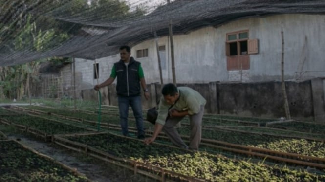 Rizki Hamdani pelopor tani santri milenial