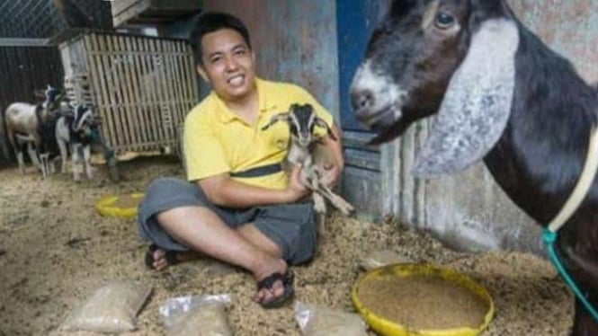 Visista Pratama Ashadi menunjukkan ternak kambing dan ayam yang diberi pakan racikannya sendiri.