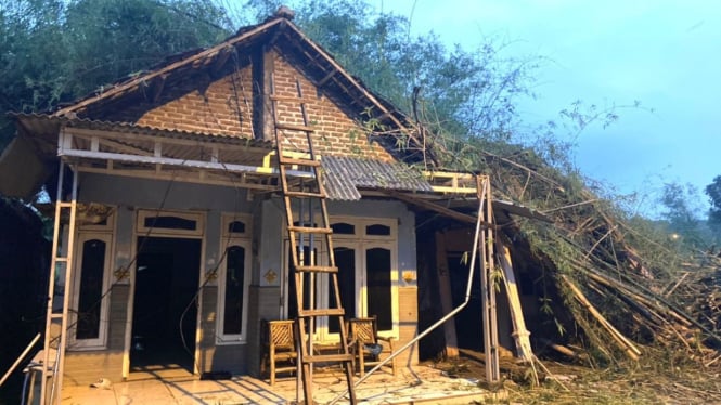 Rumah warga di Mojokerto, tertimpa rumpun bambu