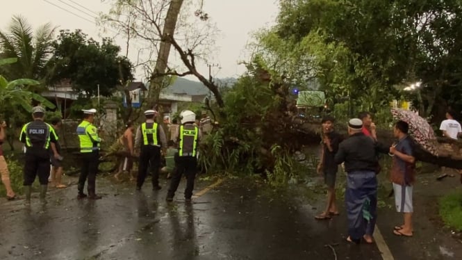 Pohon tumbang sempat lumpuhkan Jalan Nasional Trenggalek-Ponorogo.