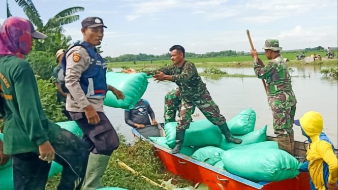 Ratusan hektar sawah terendam akibat tanggul kali jebol