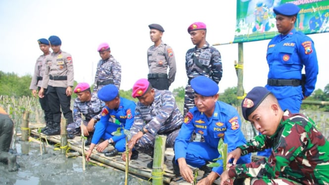 Ditpolairud dan Polres Tanam ribuan mangrove di pesisir Gresik.