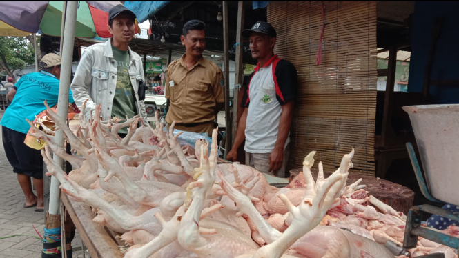 Penjual ayam potong di Pasar Ngemplak Tulungagung.