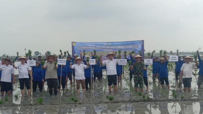 Dirjen TP Kementerian Pertanian RI Yudi Sastro saat tanam padi di Lamongan.