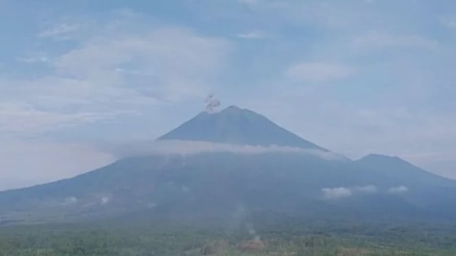 Gunung semeru erupsi pada Selasa (14/1/2025) pagi.