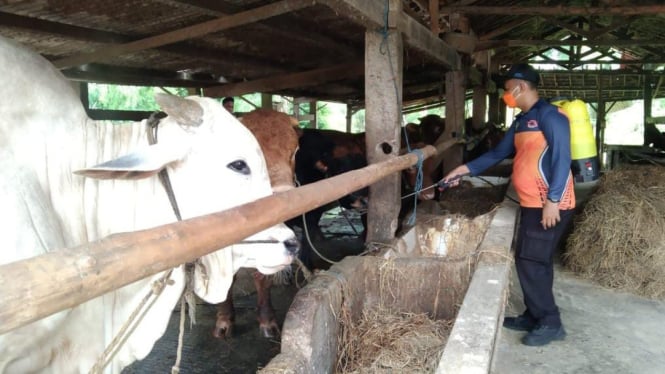 Penyemprotan disinfektan oleh BPBD Gresik.