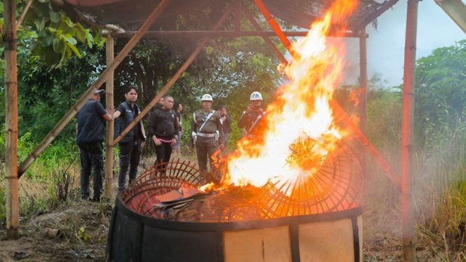 Arena sabung ayam dibakar polisi