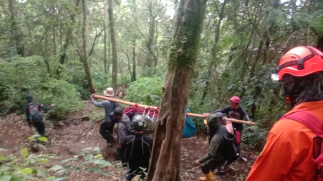 Tim SAR Gabungan evakuasi dua pendaki Argopuro