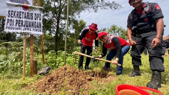 PDIP Jatim Hijaukan Kawasan Wisata Paralayang Bukit Waung.