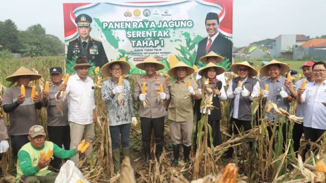 Perum Bulog Kantor Cabang Mojokerto menyerap hasil panen petani