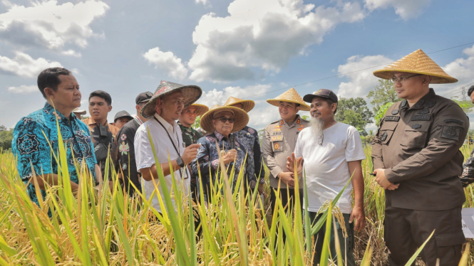 Panen Raya di Kabupaten Blitar.