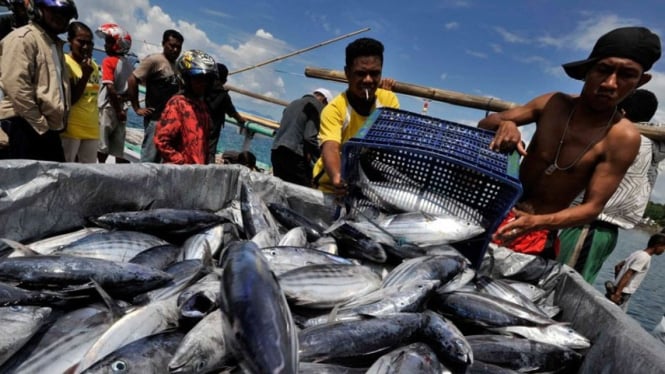 Ilustrasi nelayan saat menangkap ikan laut.