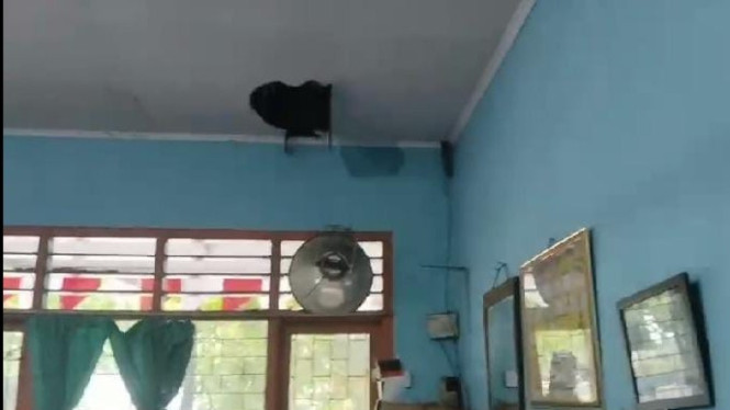 Pelaku menjebol atap sekolah.
