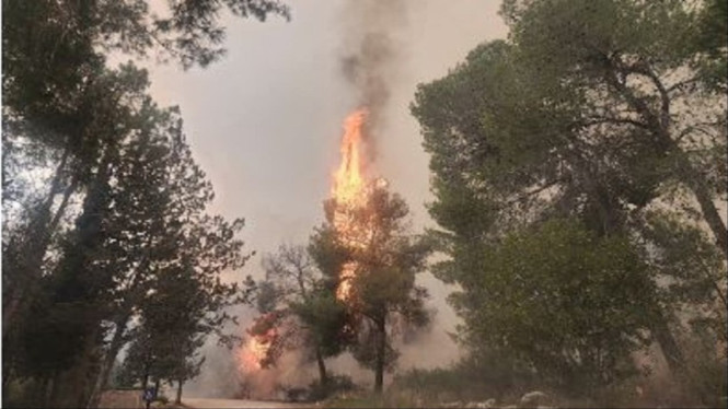 Kebakaran di Israel