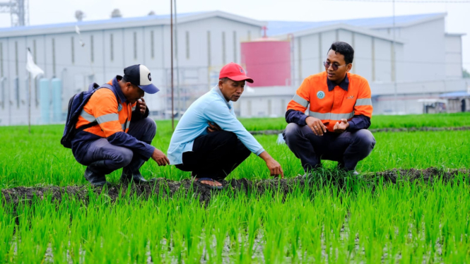 Pendampingan WPI kepada petani