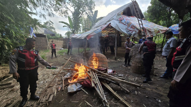 Lokasi sabung ayam di Mojokerto digrebek Polisi