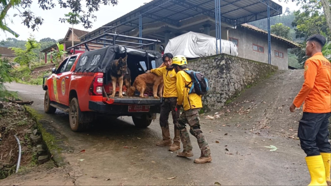 Anjing pelacak dikerahkan untuk cari 6 korban longsor