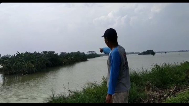 Puluhan hektare sawah terendam banjir
