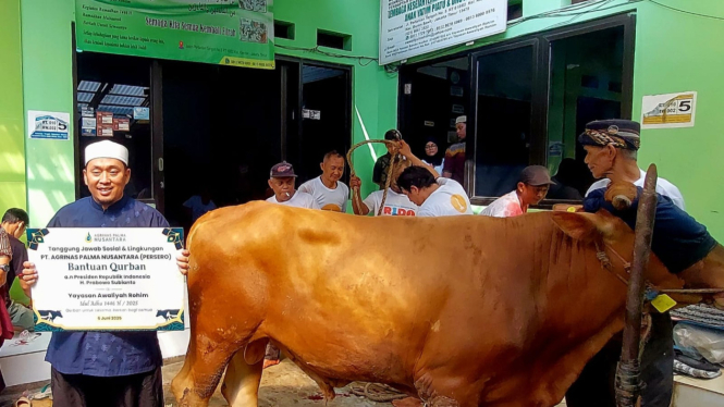 Prosesi Penyerahan Hewan Kurban