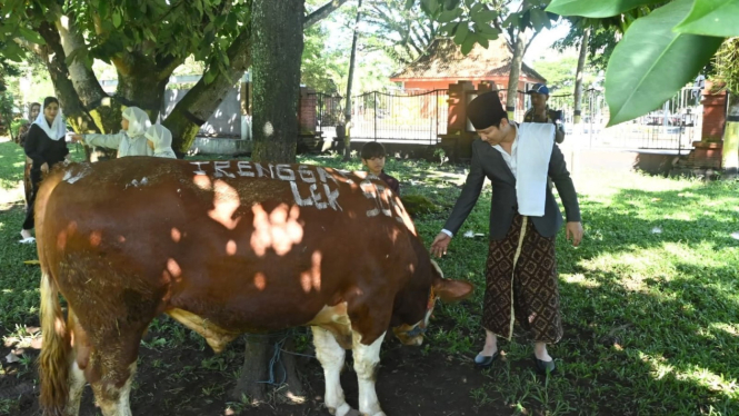 Sapi kurban untuk warga terdampak longsor Depok