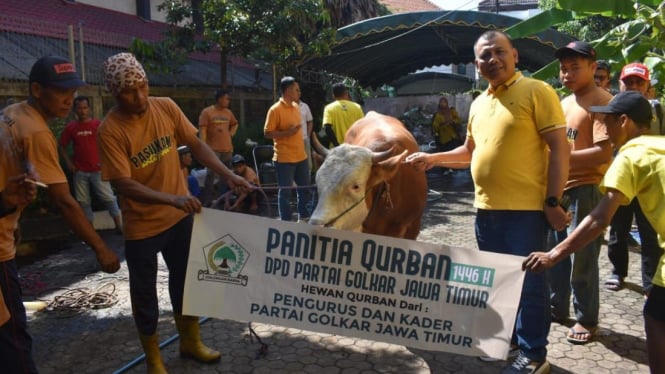 Panitia Kurban DPD Partai Golkar Jawa Timur saat menyerahkan sapi