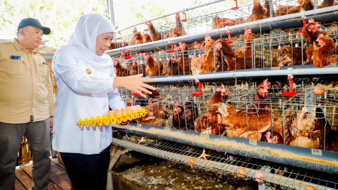 Gubernur Khofifah Meninjau Kampung Pandu