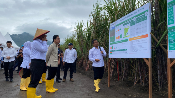 Kunjungan Wapres Gibran ke Kebun Tebu Jolondoro