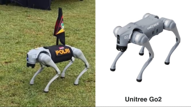 Robot Manusia dan Anjing