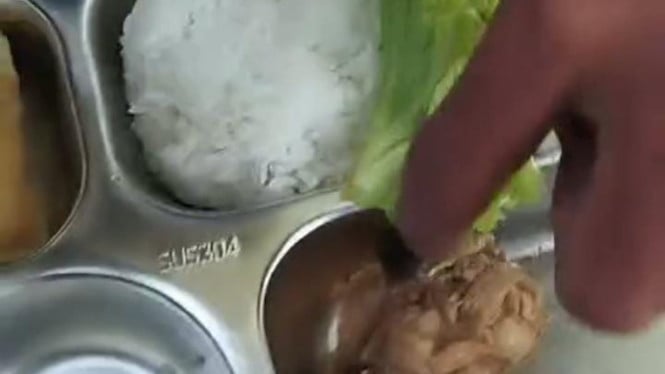 Menu Makan Bergizi Gratis