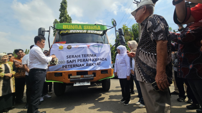 Serah Terima Sapi Perah kepada Peternak Lokal