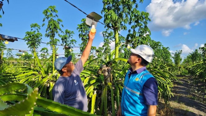 Petugas PLN saat mengecek aliran listrik